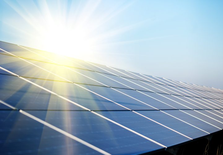 Solar panels under the summer sun